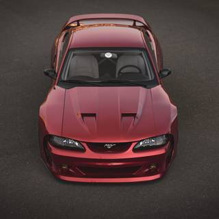 Mustang SN95 wallpaper