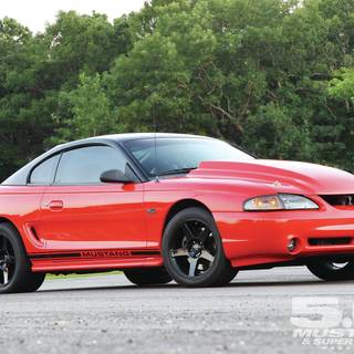 Mustang SN95 wallpaper