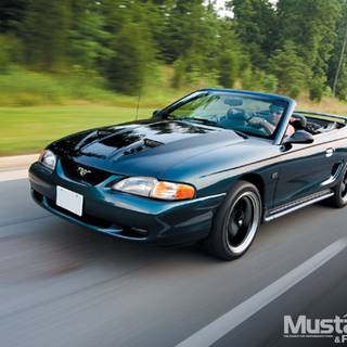 Mustang SN95 wallpaper