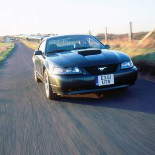 Mustang SN95 wallpaper