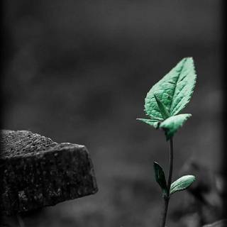 Being alone wallpaper