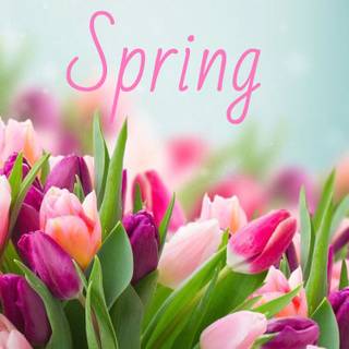 Spring welcome wallpaper