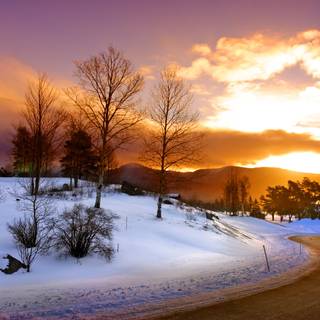 Romantic winter cabin wallpaper