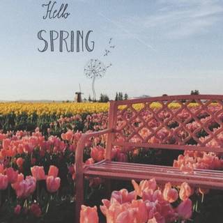 Spring welcome wallpaper