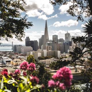 San Francisco spring wallpaper