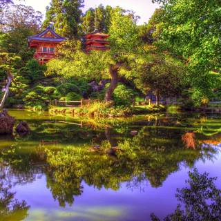 San Francisco spring wallpaper