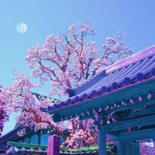 Aesthetic spring Japan wallpaper