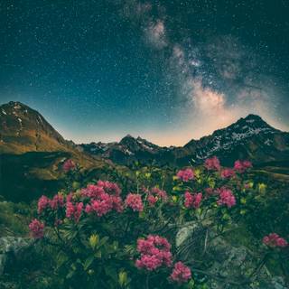 Spring landscape aesthetic wallpaper