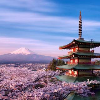 Aesthetic spring Japan wallpaper
