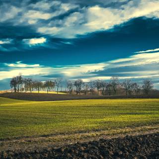 2560x1440 spring wallpaper