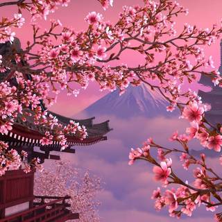 Aesthetic spring Japan wallpaper