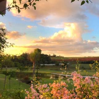 Spring landscape aesthetic wallpaper