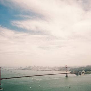 San Francisco spring wallpaper