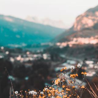 Spring landscape aesthetic wallpaper