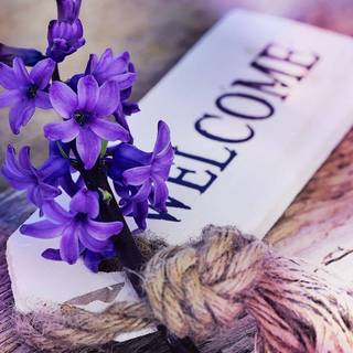 Spring welcome wallpaper