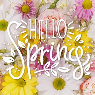 Spring welcome wallpaper