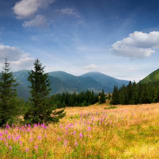 2560x1440 spring wallpaper