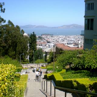 San Francisco spring wallpaper