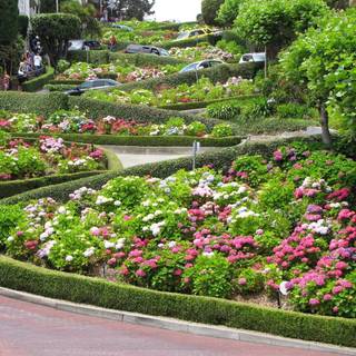 San Francisco spring wallpaper