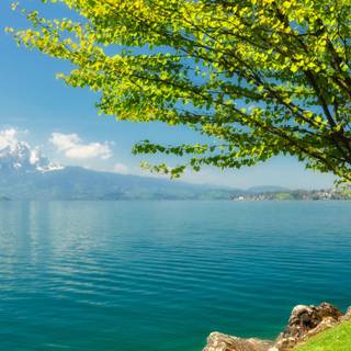 2560x1440 spring wallpaper