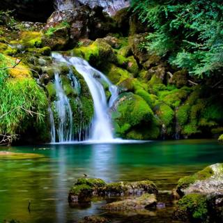 2560x1440 spring wallpaper