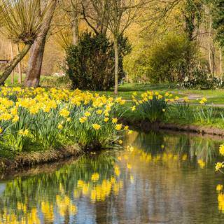 2560x1440 spring wallpaper