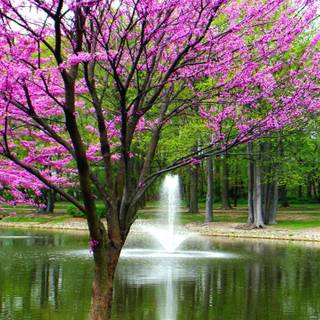 2560x1440 spring wallpaper