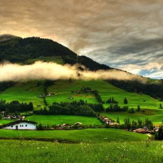 2560x1440 spring wallpaper