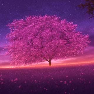 2560x1440 spring wallpaper