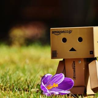 2560x1440 spring wallpaper