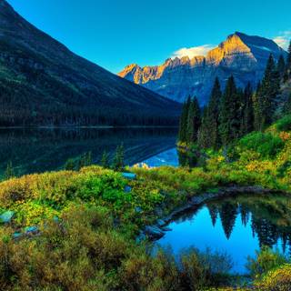 2560x1440 spring wallpaper