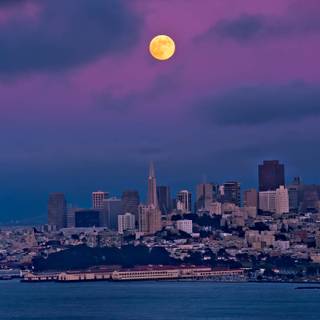 Spring San Francisco wallpaper