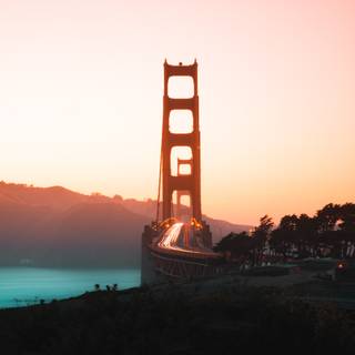 San Francisco spring wallpaper