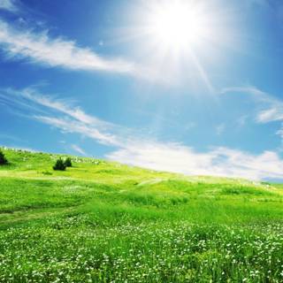 2560x1440 spring wallpaper