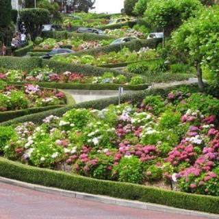 Spring San Francisco wallpaper