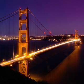 Spring San Francisco wallpaper