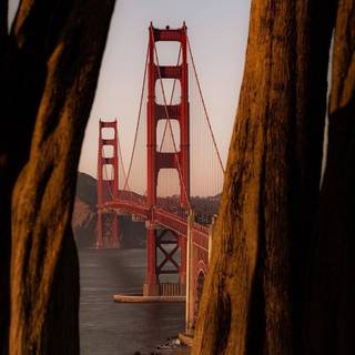 San Francisco spring wallpaper