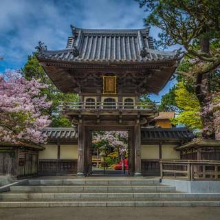 San Francisco spring wallpaper