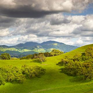 San Francisco spring wallpaper
