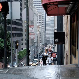 San Francisco spring wallpaper