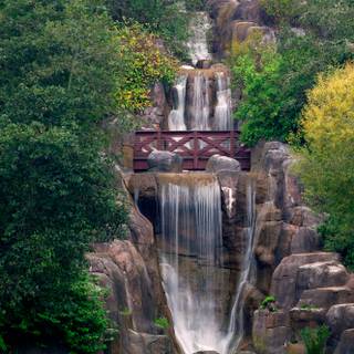 Spring Japan tea garden wallpaper