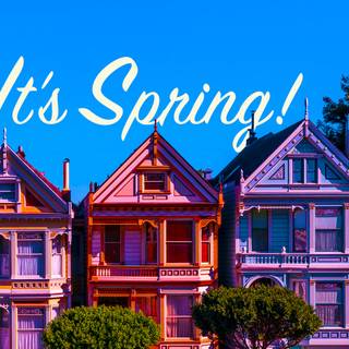 Spring San Francisco wallpaper