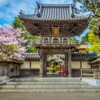 Spring San Francisco wallpaper