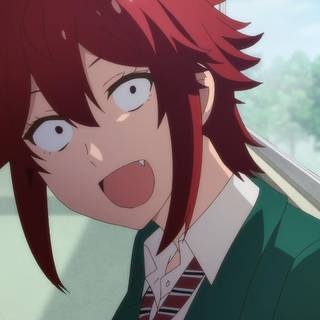 Tomo-chan wa Onnanoko! wallpaper