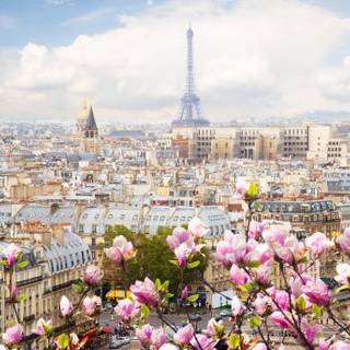 Paris laptop wallpaper