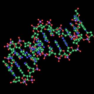 Transcription wallpaper