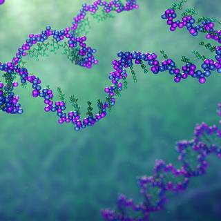 Transcription wallpaper