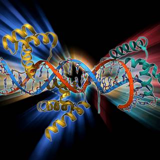 Transcription wallpaper