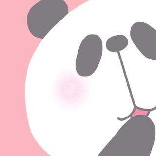 Anime panda girl wallpaper