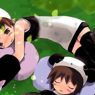 Anime panda girl wallpaper
